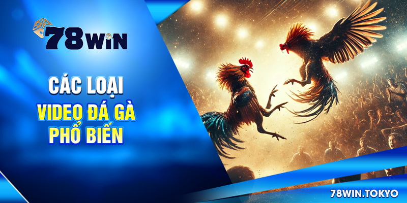 Video Đá Gà Trực Tiếp 78WIN - Livestream Sắc Nét, Full HD 10 Các loại video đá gà phổ biến