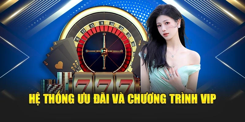 Hệ thống ưu đãi và chương trình VIP
